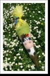 Schultüte Schultüte